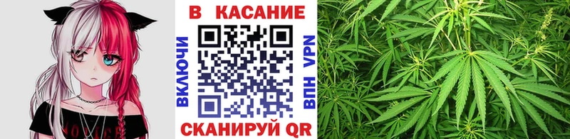 Виды наркоты Кирсанов ГАШ  Cocaine  МЕФ 