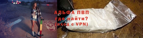 сатива Кинешма
