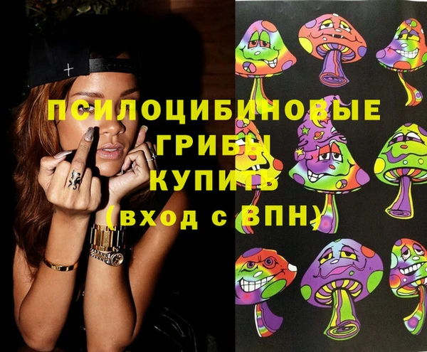 ECSTASY Киреевск