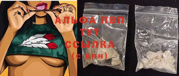 сатива Кинешма