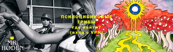 ECSTASY Киреевск