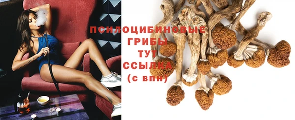 ECSTASY Киреевск