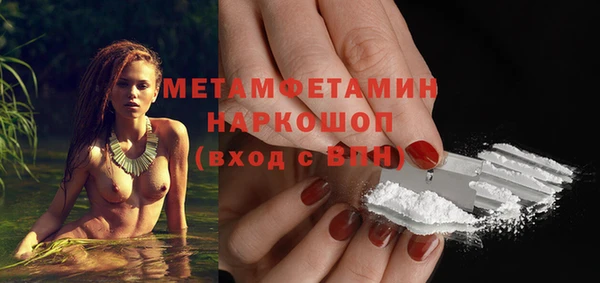 крисы Козловка